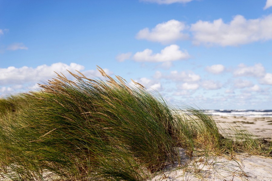 Prerow, Ostsee